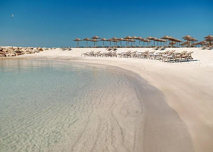 Cardo * ポレッチ